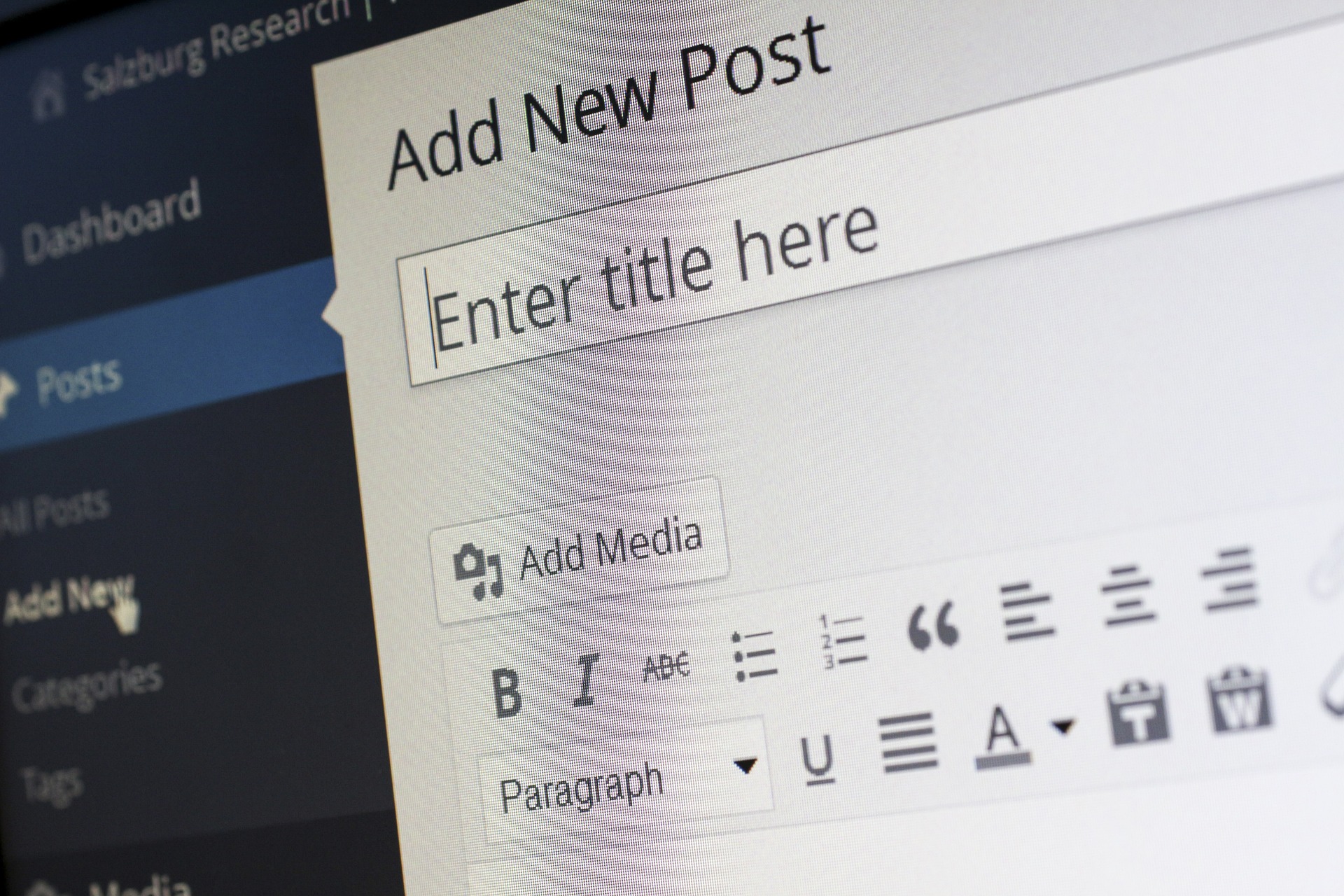 Screenshot of part of wordpress backoffice area indicating Add New Post